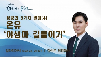 성령의 9가지 열매(4)- 온유 ‘야생마 길들이기’